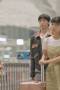 Love Like a K-Drama Season 1 Episode 12 Love Like a K-Drama Season 1 Episode 12